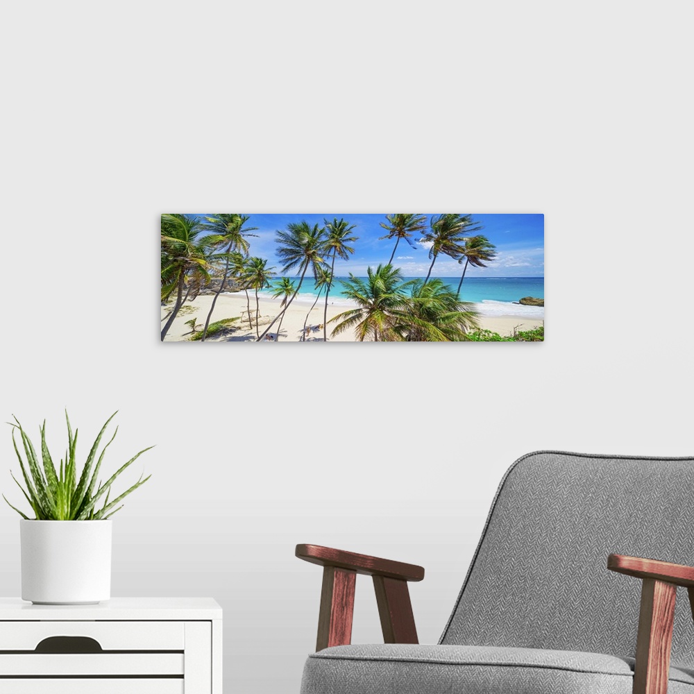 A modern room featuring Barbados, Saint Philip, Tropics, Antilles, Lesser Antilles, Windward Islands, Caribbean, West Ind...