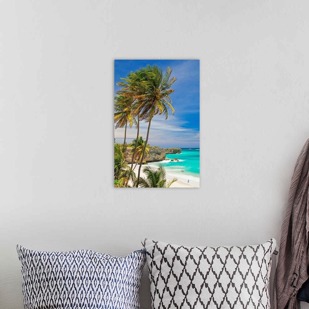A bohemian room featuring Barbados, Saint Philip, Tropics, Antilles, Lesser Antilles, Windward Islands, Caribbean, West Ind...