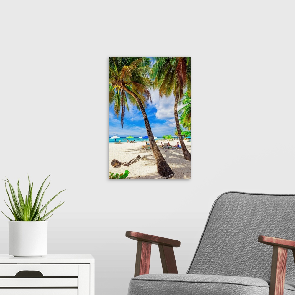 A modern room featuring Barbados, Tropics, Antilles, Lesser Antilles, Windward Islands, Caribbean, West Indies, Worthing ...