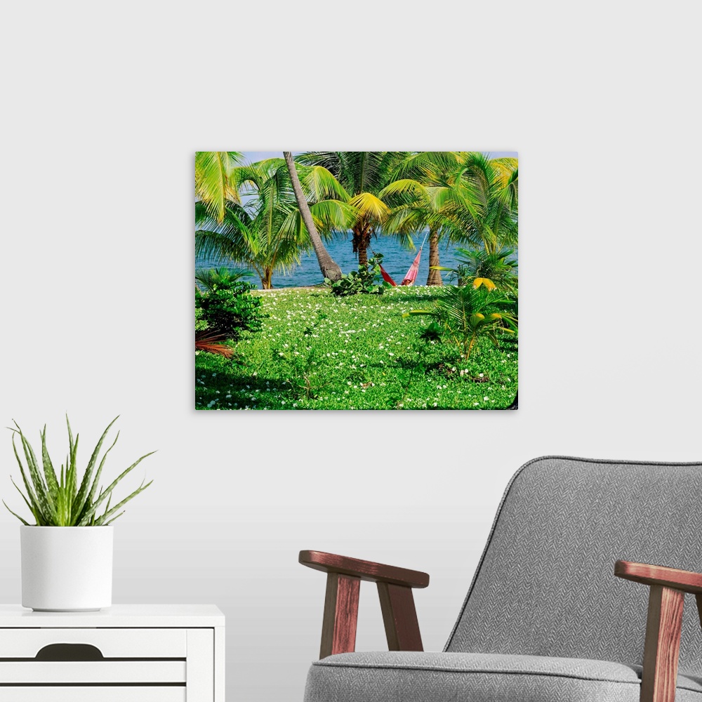 A modern room featuring Belize, Caribbean, Placencia, coast
