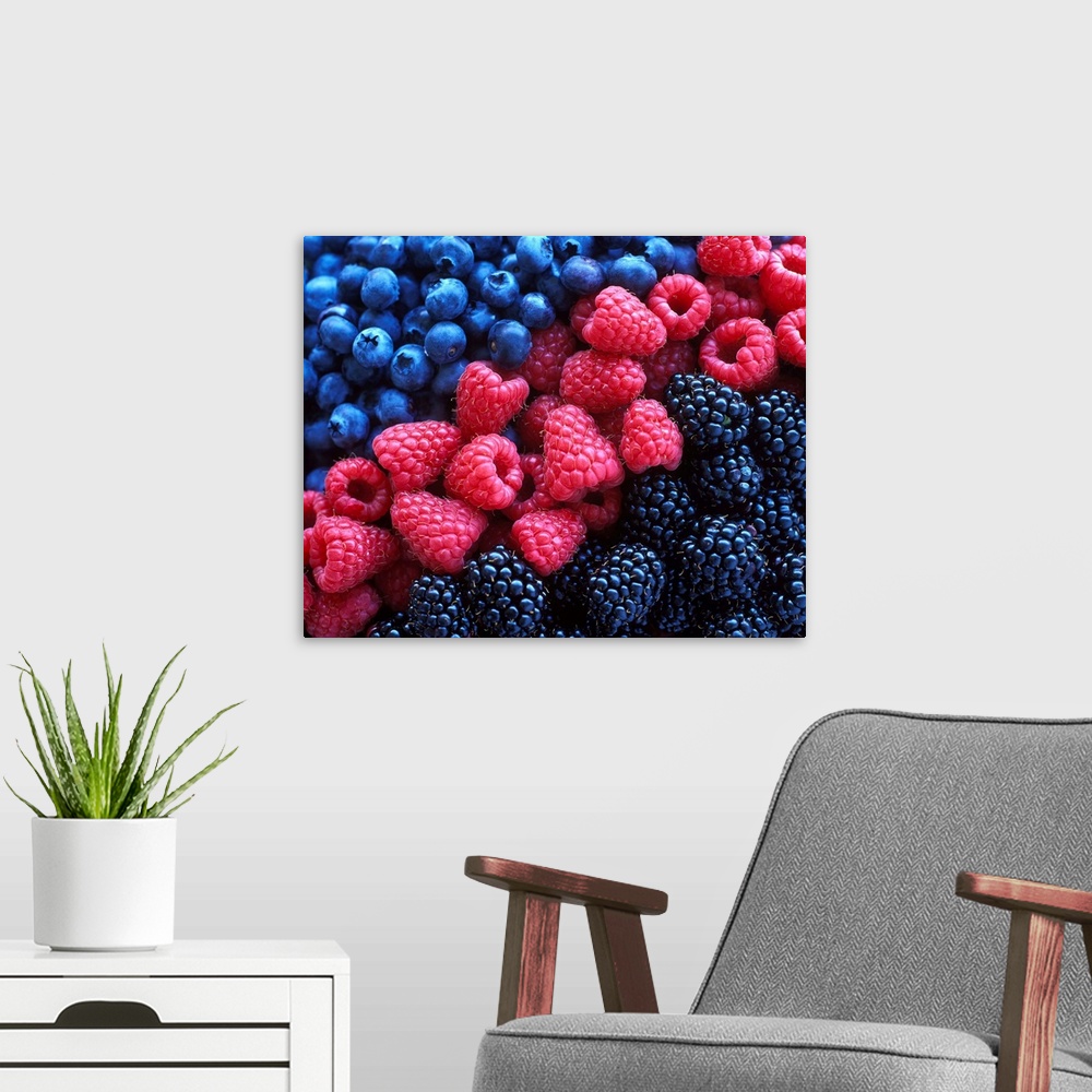 A modern room featuring Blueberries, raspberries and blackberries