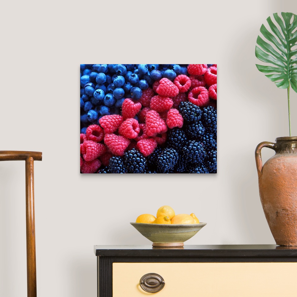 A traditional room featuring Blueberries, raspberries and blackberries