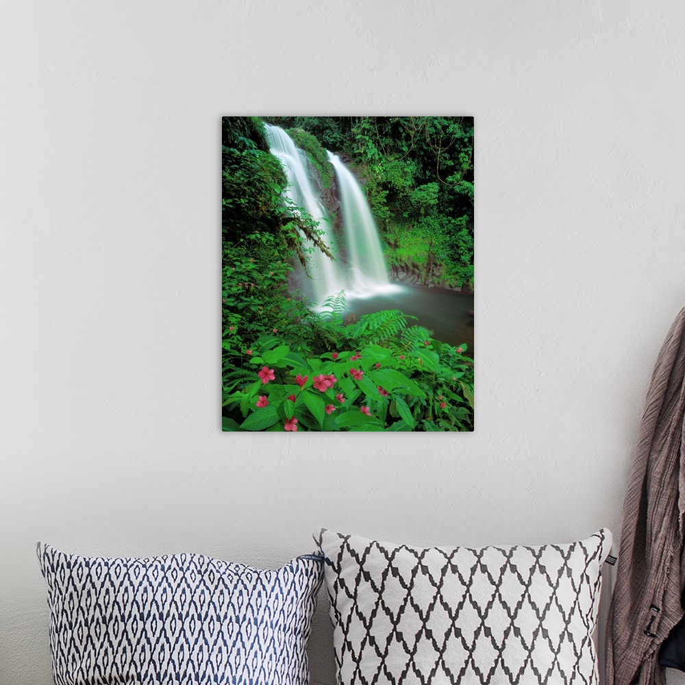 A bohemian room featuring Braulio Carrillo National Park, Rara Avis waterfall