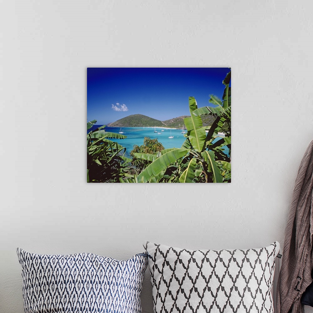 A bohemian room featuring British Virgin Islands, Jost Van Dyke island, Leeward Islands, White Bay