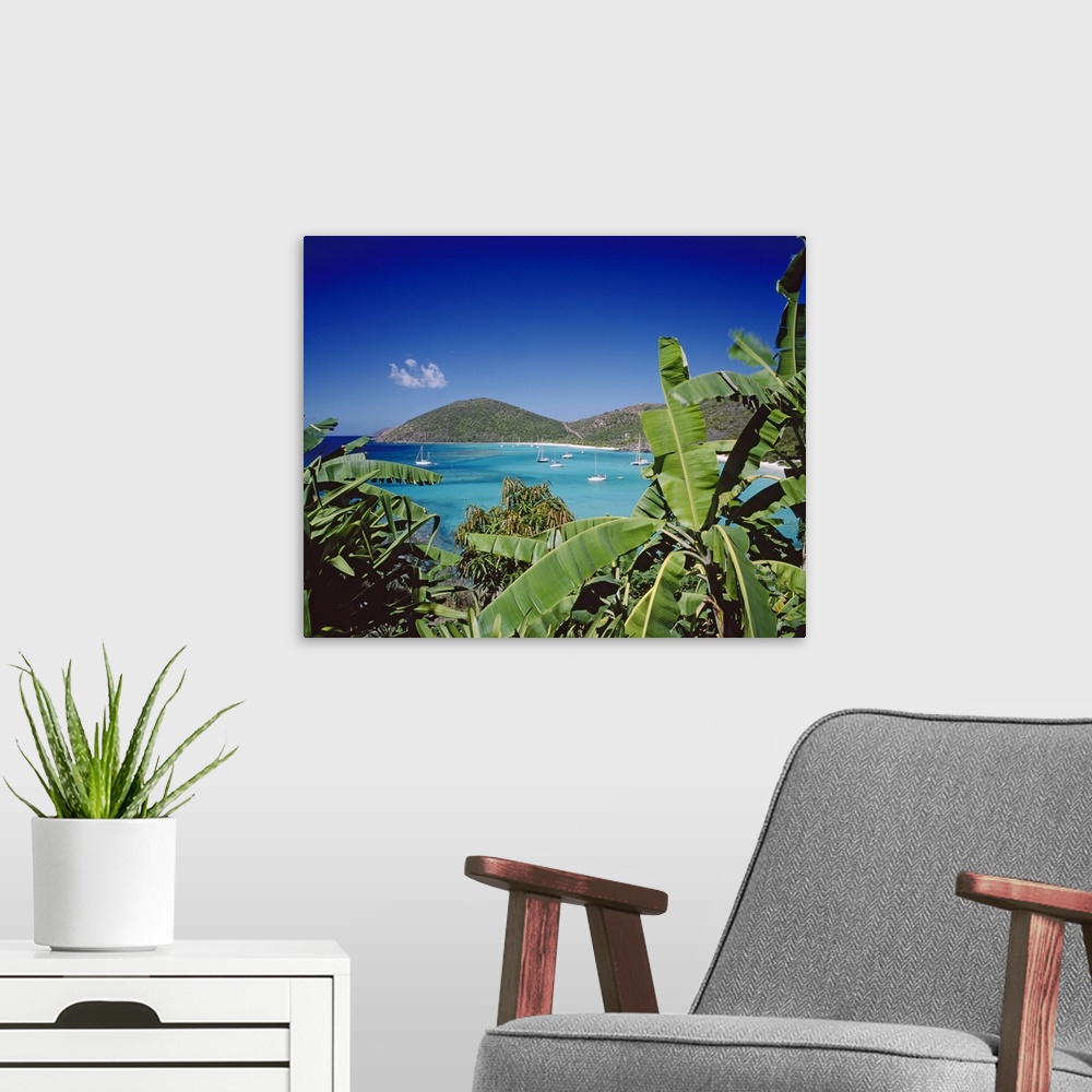A modern room featuring British Virgin Islands, Jost Van Dyke island, Leeward Islands, White Bay