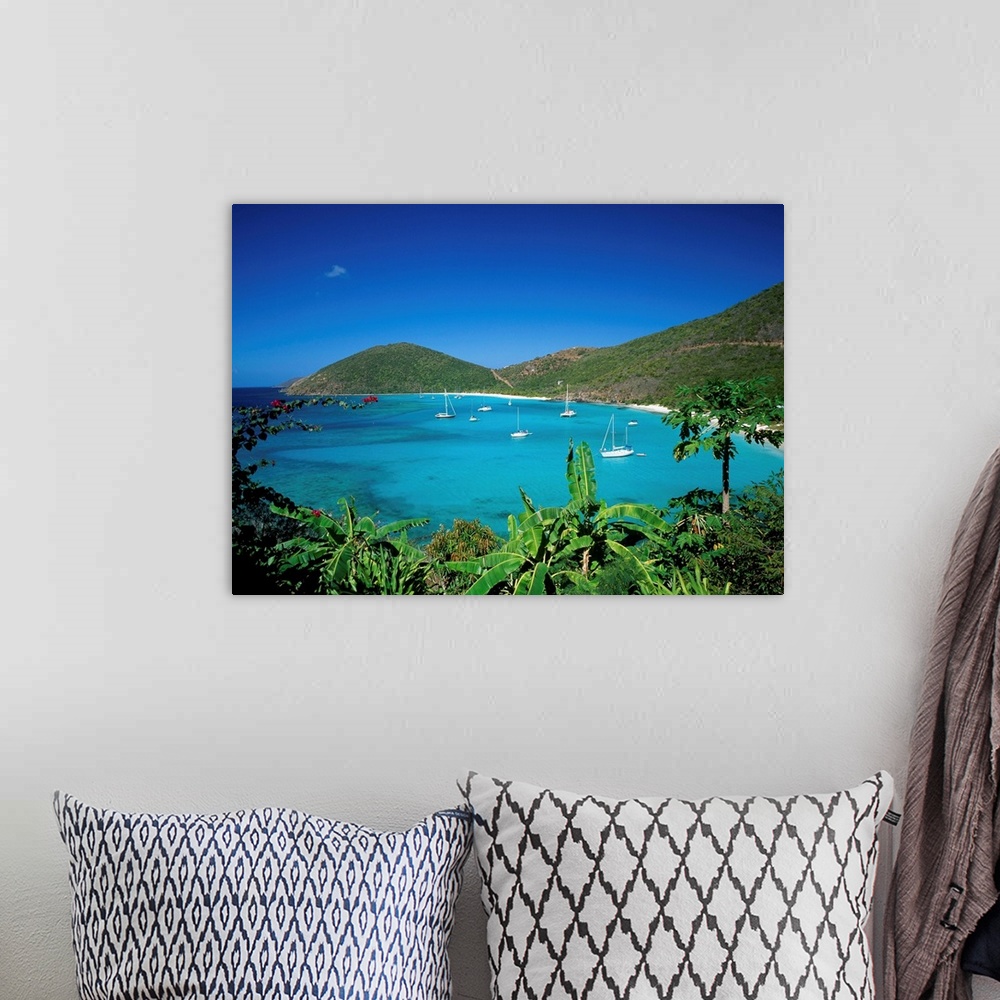 A bohemian room featuring British Virgin Islands, Jost Van Dyke Island, White Bay and papaia