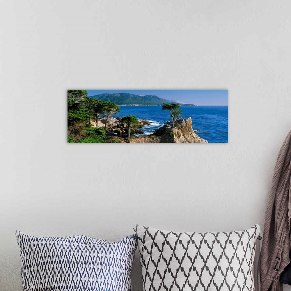 A bohemian room featuring CA, Monterey Peninsula, silhouette of the famous Lone Cypress Tree on Big Sur