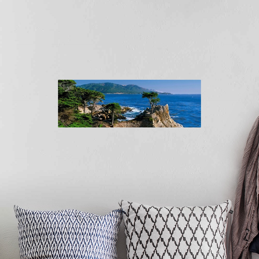 A bohemian room featuring CA, Monterey Peninsula, silhouette of the famous Lone Cypress Tree on Big Sur
