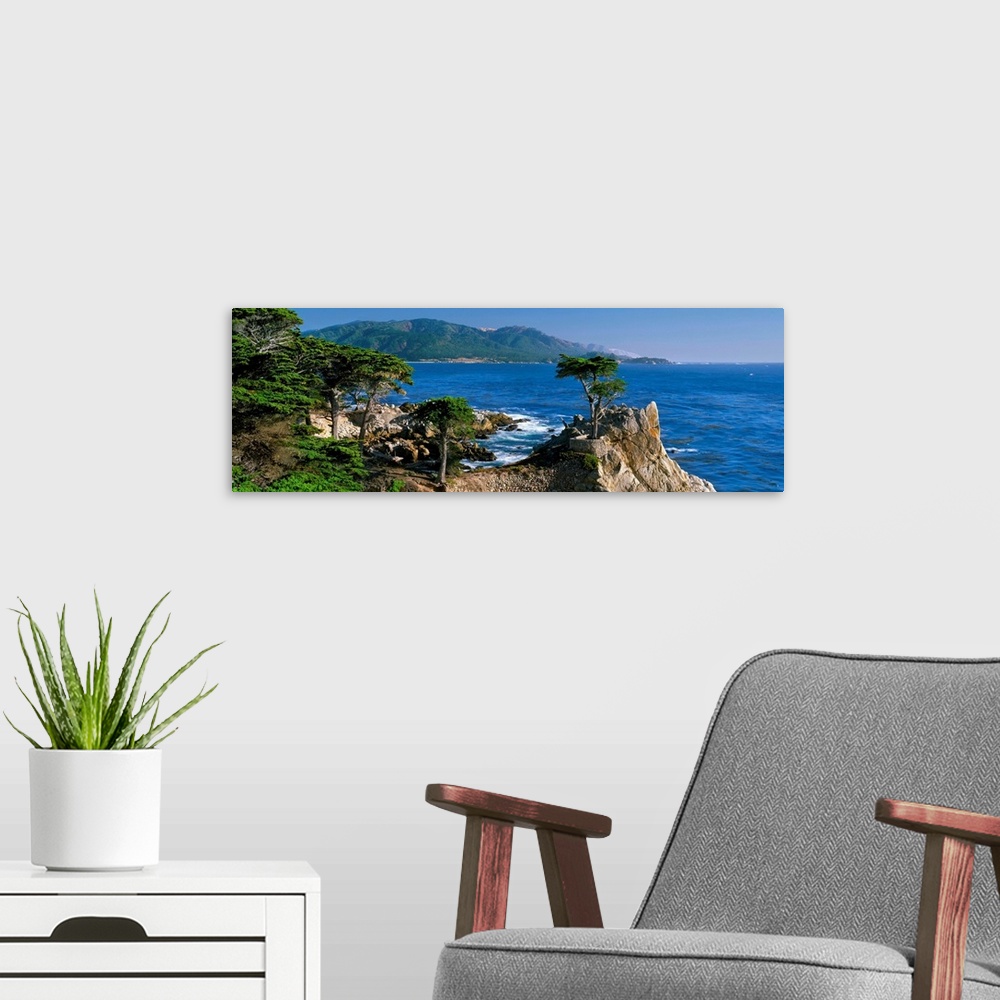 A modern room featuring CA, Monterey Peninsula, silhouette of the famous Lone Cypress Tree on Big Sur