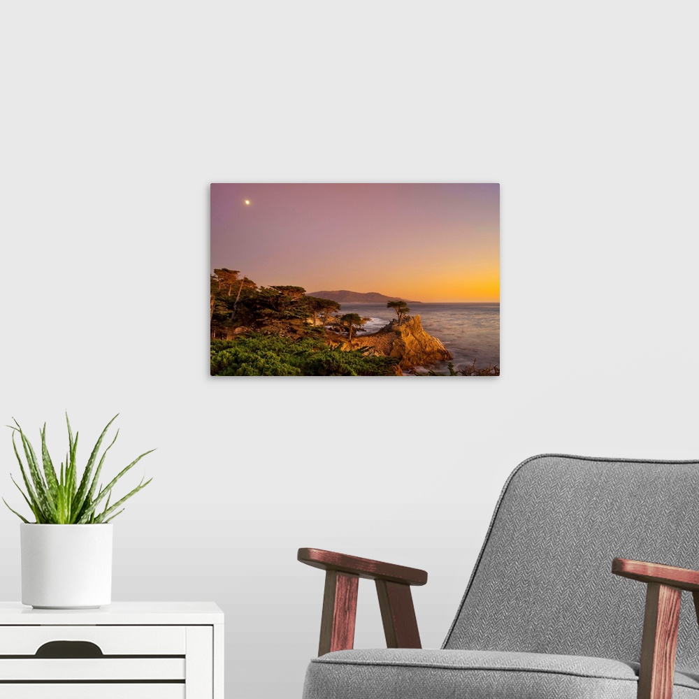 A modern room featuring CA, Monterey Peninsula, The silhouette of the famous Lone Cypress Tree
