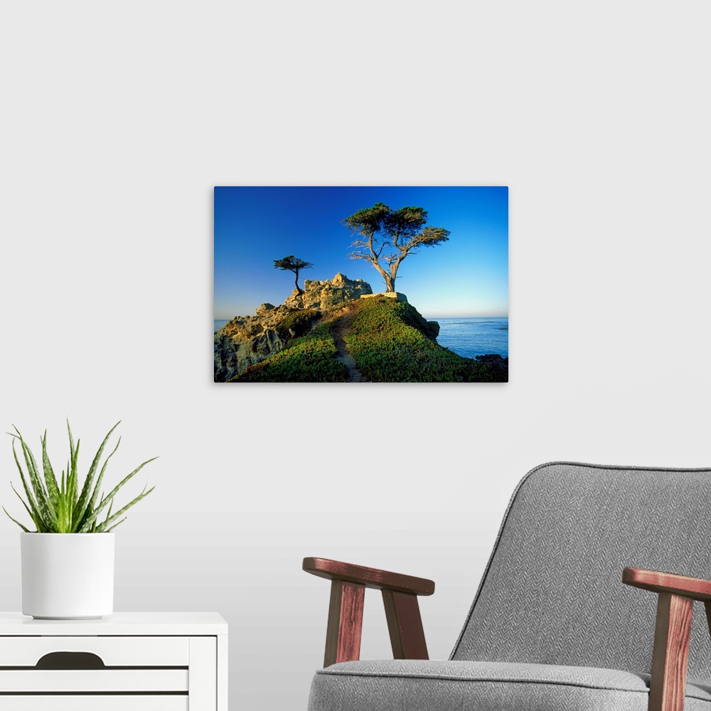 A modern room featuring United States, USA, California, Carmel, view of the Lone Cypress