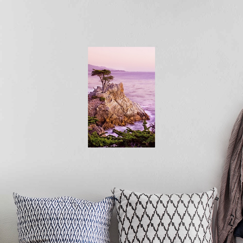 A bohemian room featuring California, Monterey Peninsula, silhouette of the famous Lone Cypress Tree