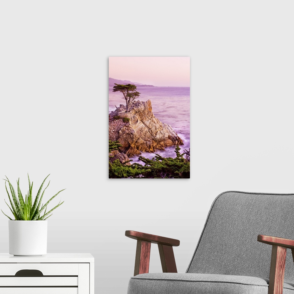 A modern room featuring California, Monterey Peninsula, silhouette of the famous Lone Cypress Tree