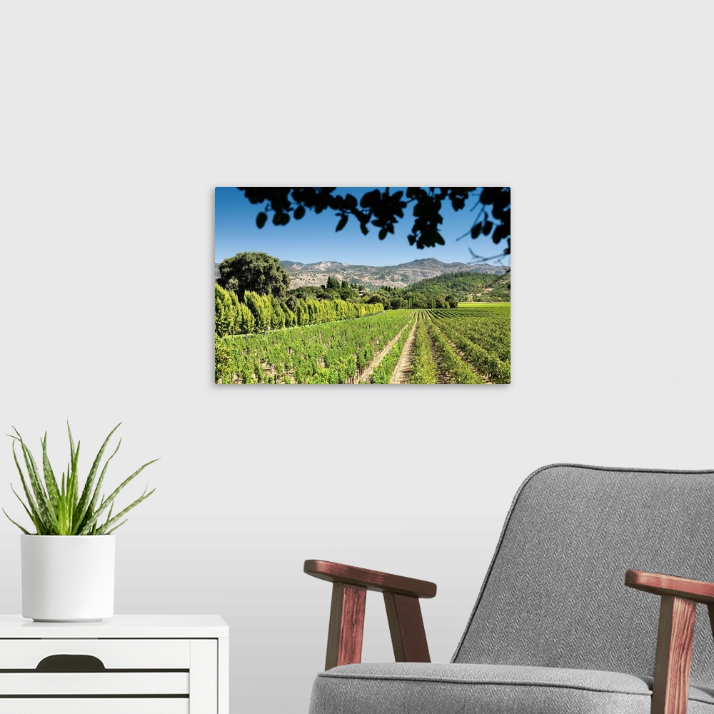 A modern room featuring California, Napa Valley, Vineyard and hills