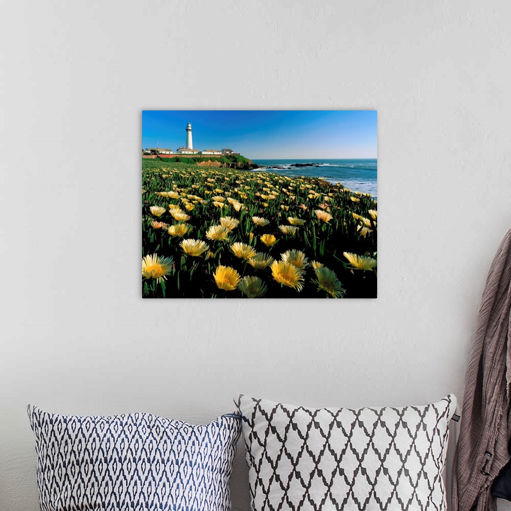 A bohemian room featuring California, Pigeon Point, lighthouse with meadow in foreground