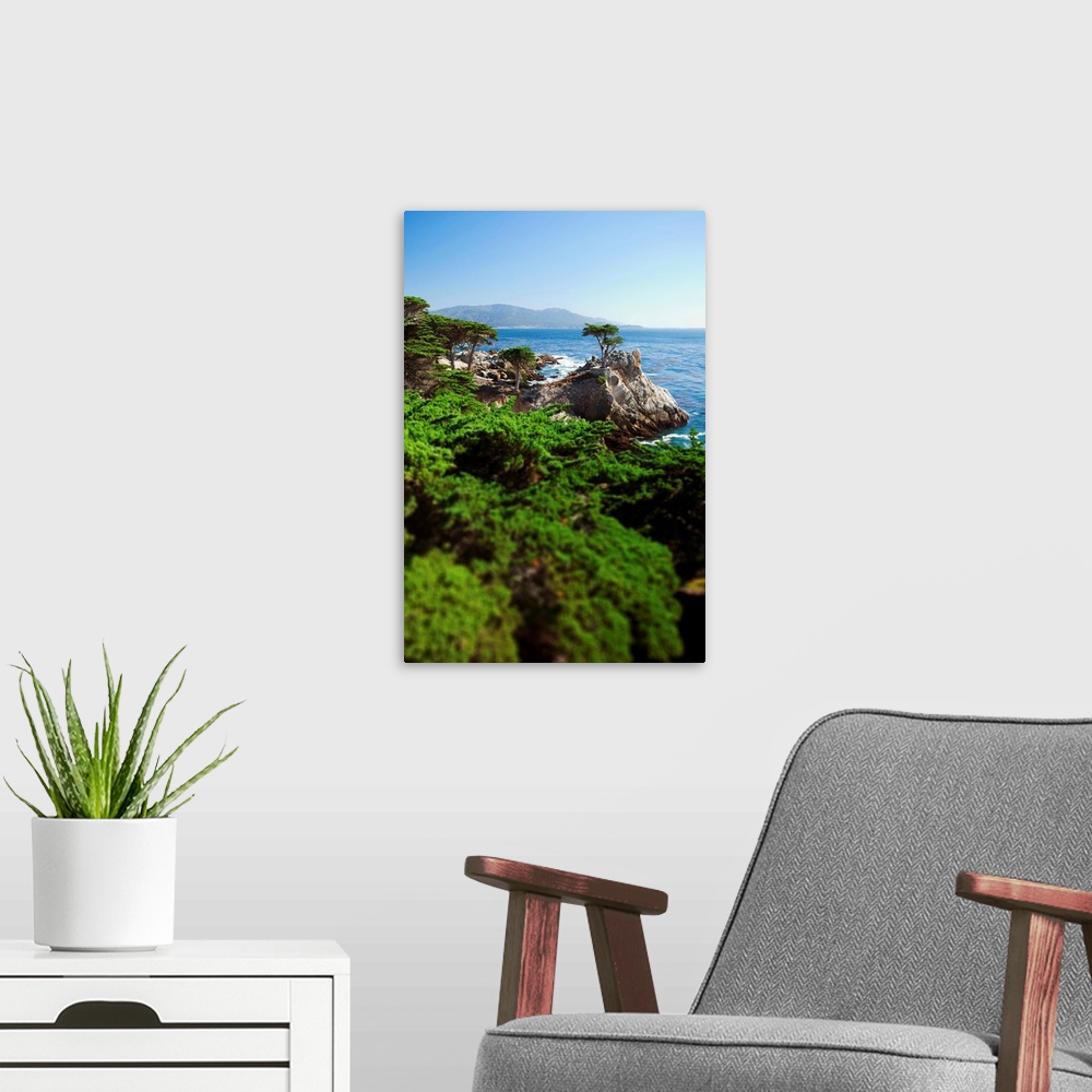 A modern room featuring California, silhouette of the famous Lone Cypress Tree on the Big Sur coast