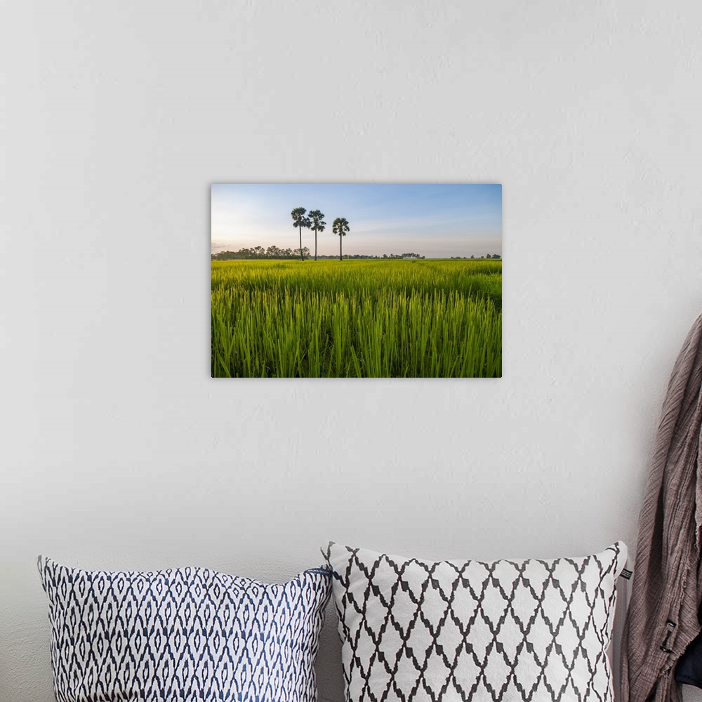 A bohemian room featuring Cambodia, palm trees in a green rice field at sunrise.