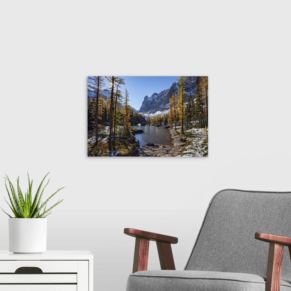 A modern room featuring Canada, British Columbia, Lake O'Hara area, Yoho National Park, Rocky Mountains.