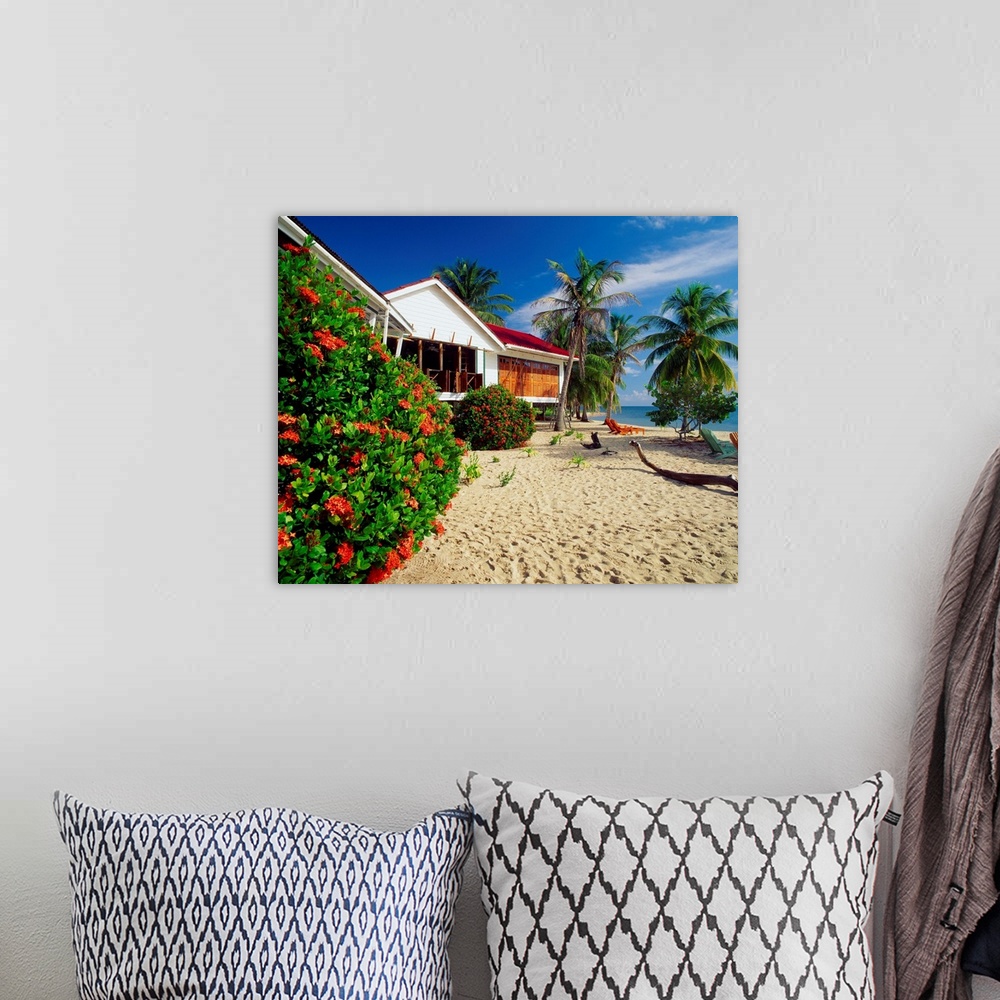 A bohemian room featuring Central America, Belize, Placencia