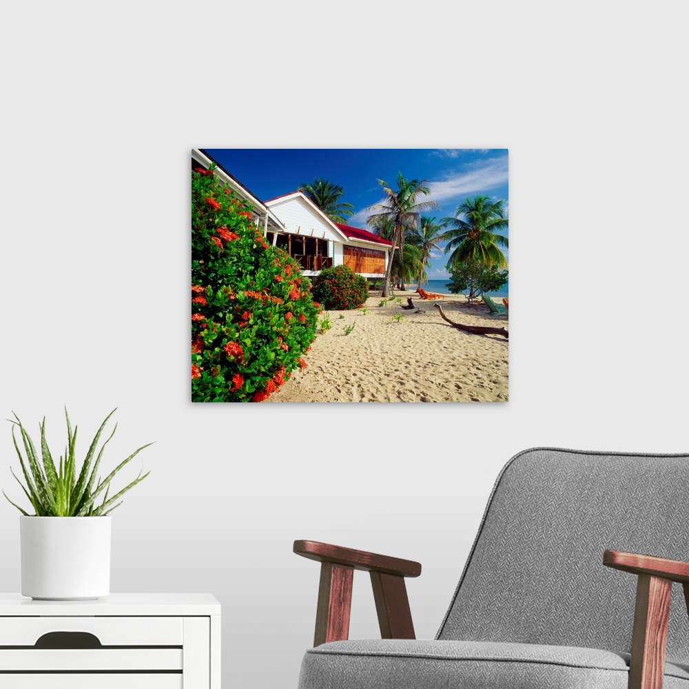 A modern room featuring Central America, Belize, Placencia