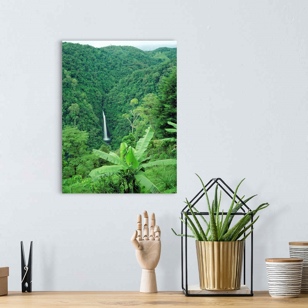 A bohemian room featuring Central America, Costa Rica, Tropics, Waterfall near San Miguel
