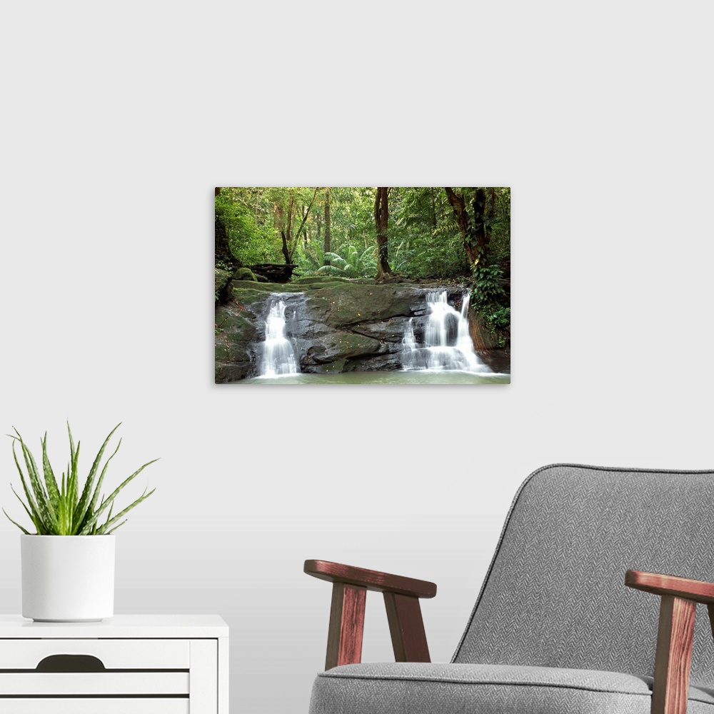 A modern room featuring Central America, Panama, Caribbean, Soberania National Park, El Charco waterfalls