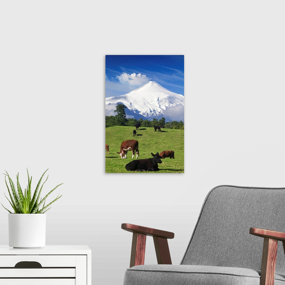 A modern room featuring Chile, Araucania, Patagonia, Andes, Pucon, View of Villarrica volcan