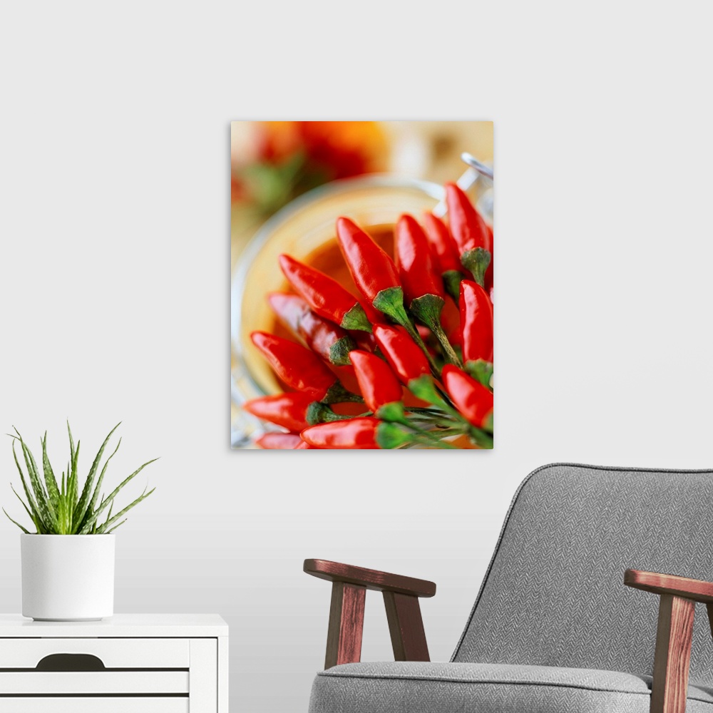 A modern room featuring Chili pepper