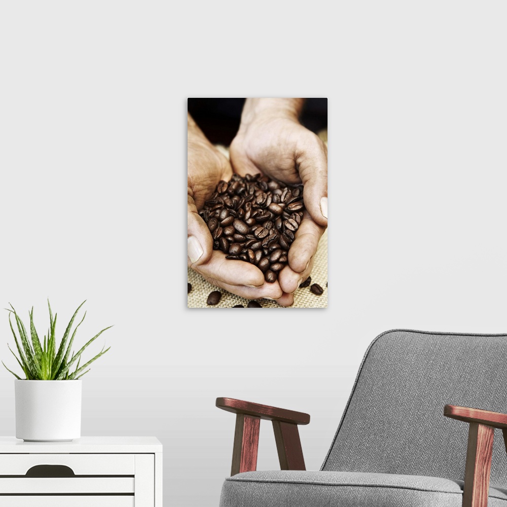 A modern room featuring Costa Rica, Alajuela, Roasted coffee beans