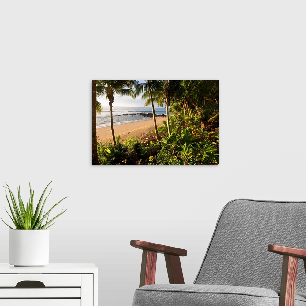 A modern room featuring Costa Rica, Guanacaste, Caribbean, Caribs, Pacific ocean, Nicoya peninsula, Tambor beach