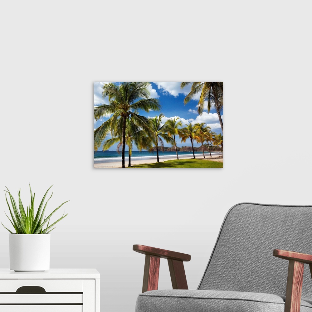 A modern room featuring Costa Rica, Guanacaste, Guanacaste National Park, Flamingo, Playa Flamingo
