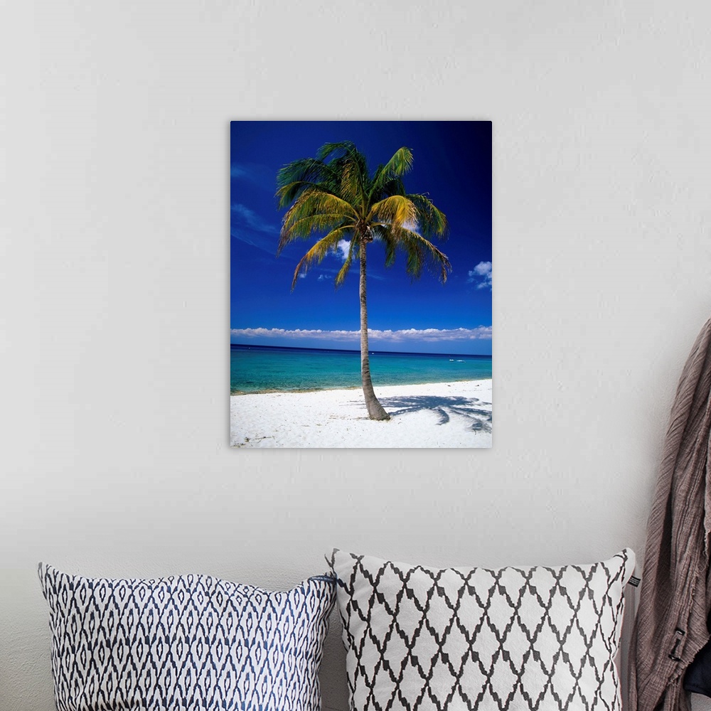 A bohemian room featuring Cuba, Pinar del Rio, Maria la Gorda, palm on the beach