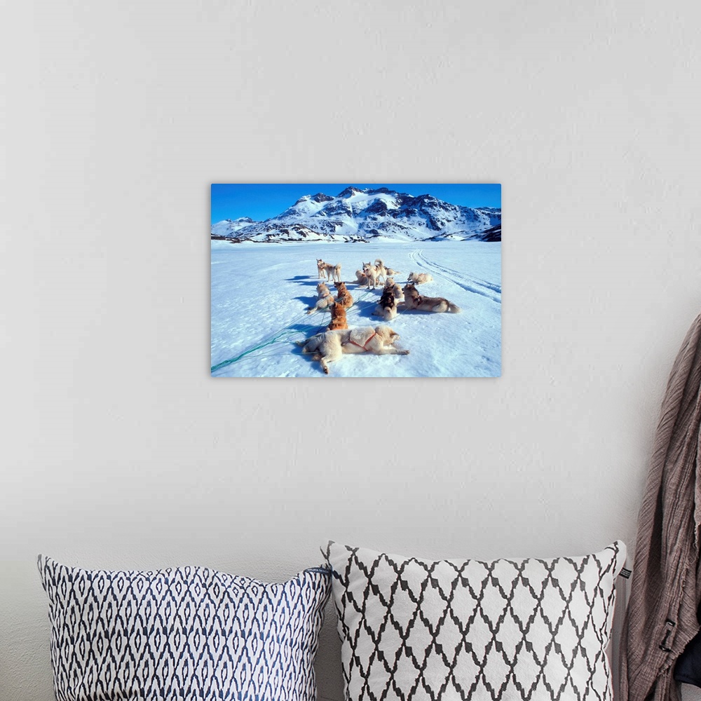 A bohemian room featuring Denmark, Danmark, Greenland, Tiniteqilaaq village, dog sledging excursion
