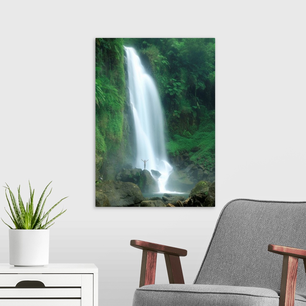 A modern room featuring Wasserf..lle Trafalga Falls, Insel Dominica, Karibik