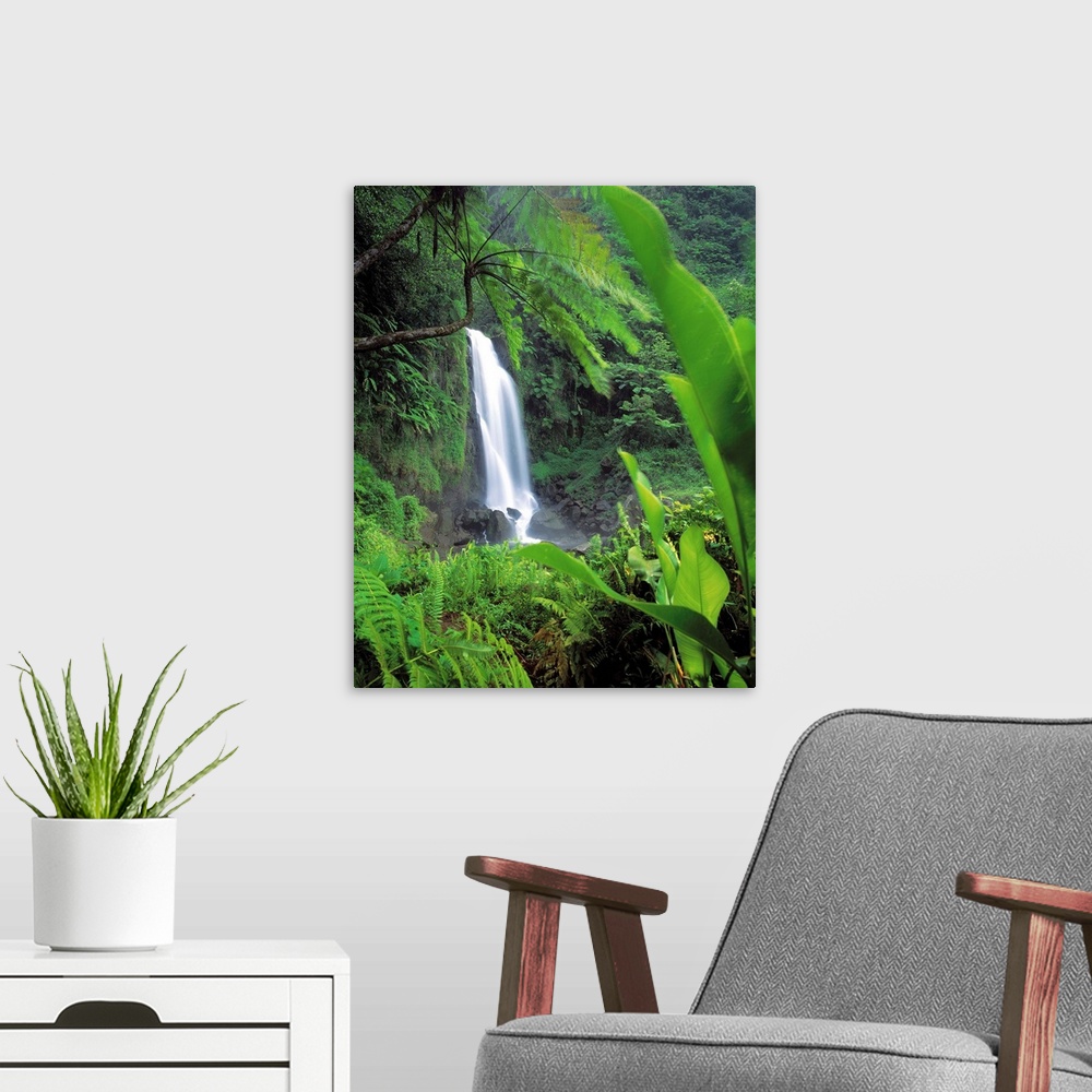 A modern room featuring Trafalgar Falls, Dominica, Karibik