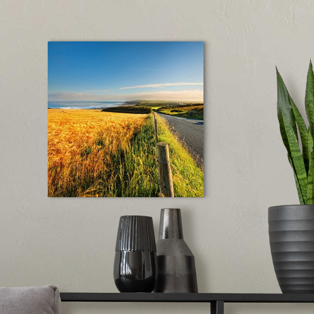 A modern room featuring England, Cornwall, Bude, Wheatfield in the morning with Widemouth & Black Rock Beach