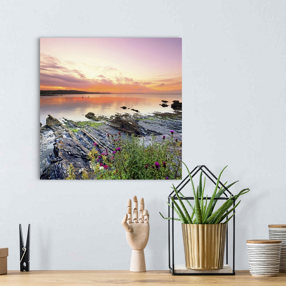 A bohemian room featuring England, Cornwall, Rocks surfacing from the low tide seaside at dawn near Looe village