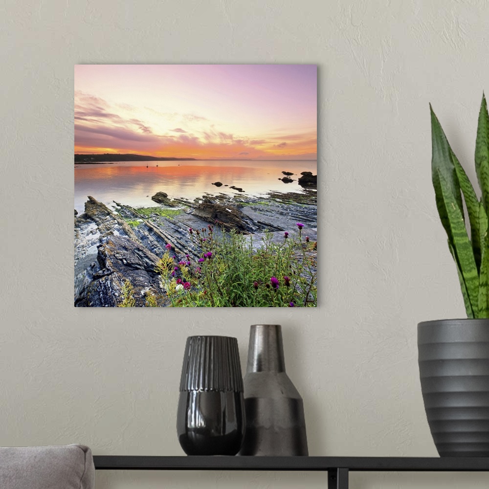 A modern room featuring England, Cornwall, Rocks surfacing from the low tide seaside at dawn near Looe village