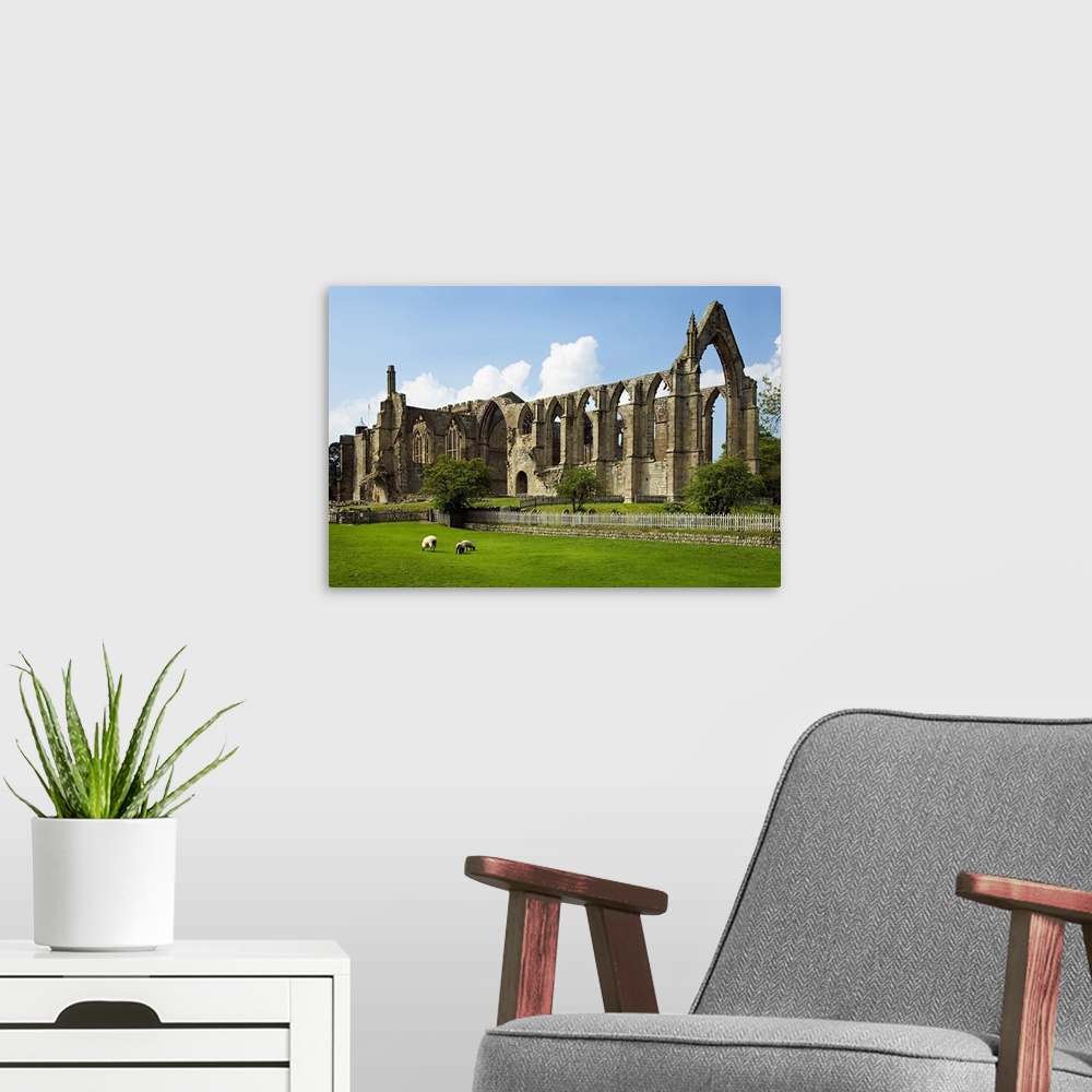 A modern room featuring United Kingdom, UK, England, Yorkshire, Yorkshire Dales National Park, Bolton Abbey, old ruin of ...