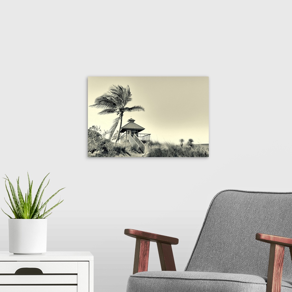 A modern room featuring Florida, Boca Raton, lifeguard tower with palm tree at the beach.