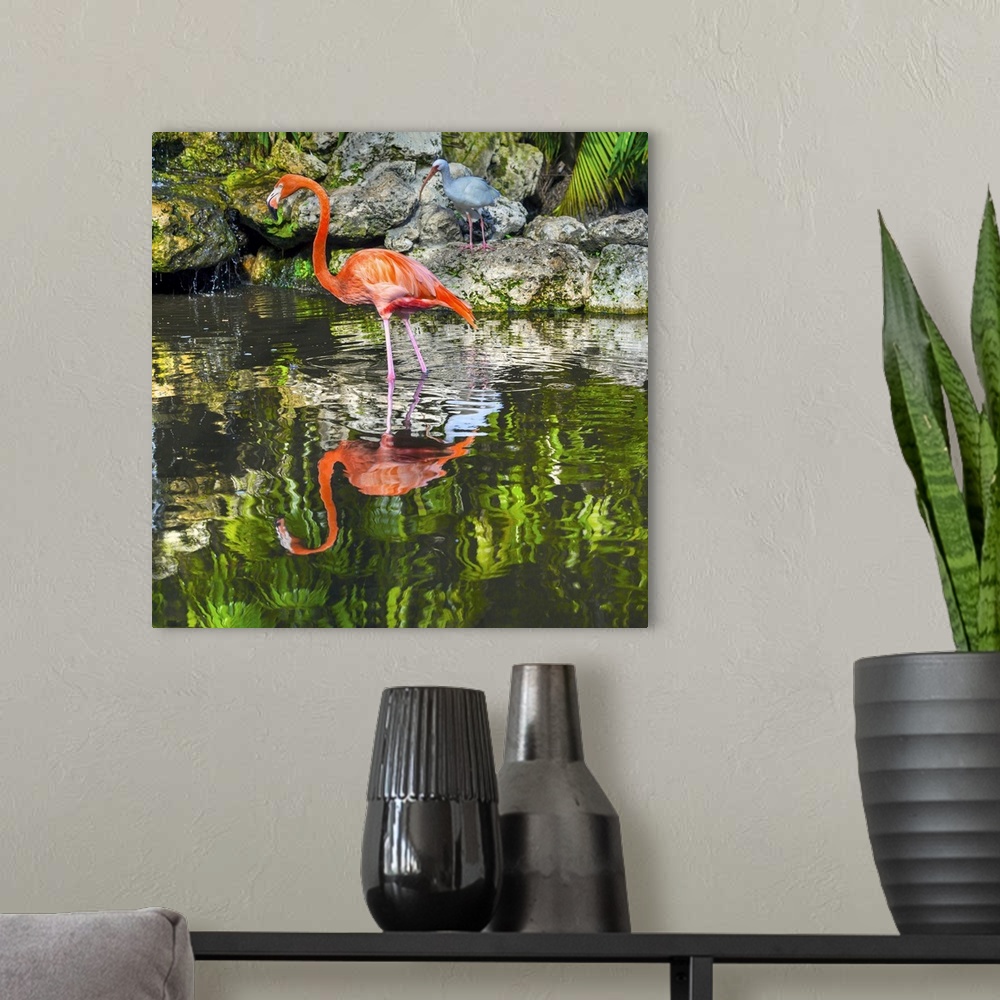 A modern room featuring Florida, Davie, Flamingo Gardens (west of Fort Lauderdale), flamingoes.