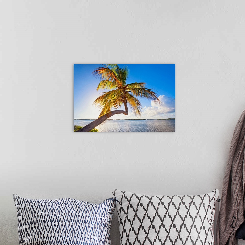 A bohemian room featuring Florida, South Florida, The Keys, Islamorada, leaning palm tree.