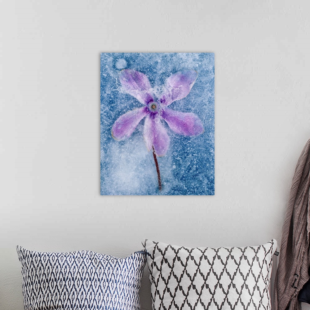 A bohemian room featuring Flower in ice