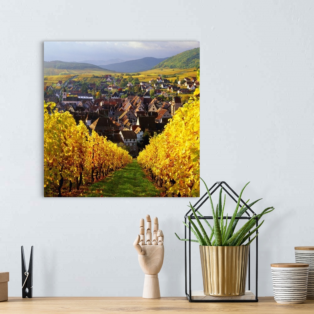 A bohemian room featuring France, Alsace, Vineyard and Riquewihr village