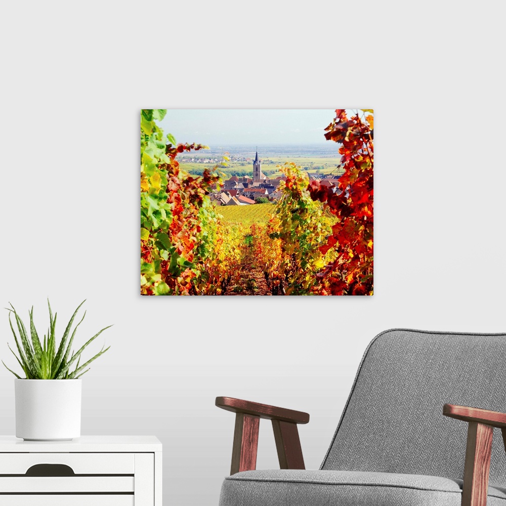A modern room featuring France, Alsace, Vineyards and Rodern village
