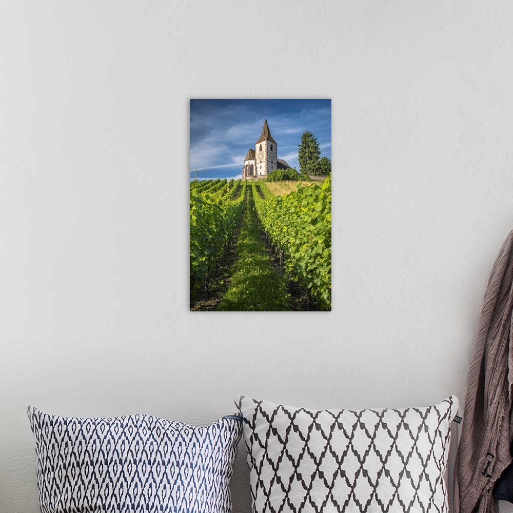 A bohemian room featuring France, Grand Est, Haut-Rhin, Alsatian Wine Route, Route des Vins d'Alsace, Hunawihr, A view up t...