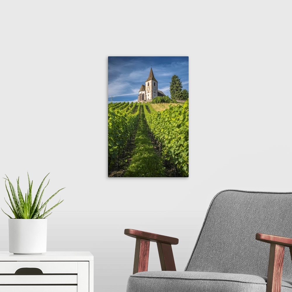 A modern room featuring France, Grand Est, Haut-Rhin, Alsatian Wine Route, Route des Vins d'Alsace, Hunawihr, A view up t...