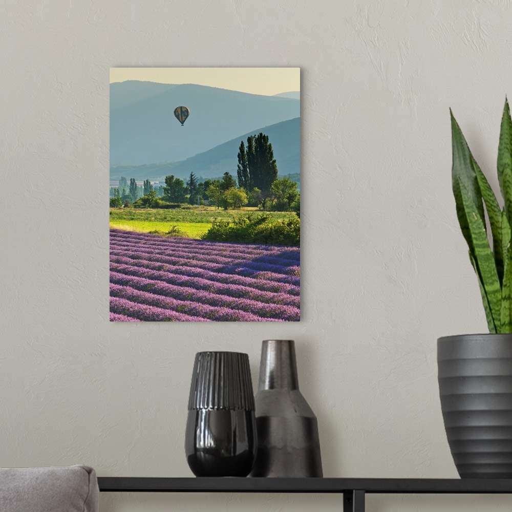 A modern room featuring France, Provence-Alpes-Cote d'Azur, Provence, Banon, Hot air balloon flying at sunset over lavend...