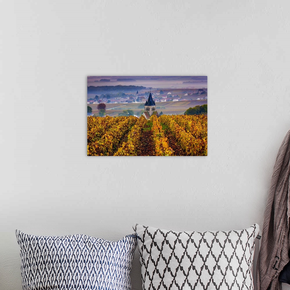 A bohemian room featuring France, Champagne-Ardenne, Champagne, Marne, Ville-Dommange, Vineyards in autumn