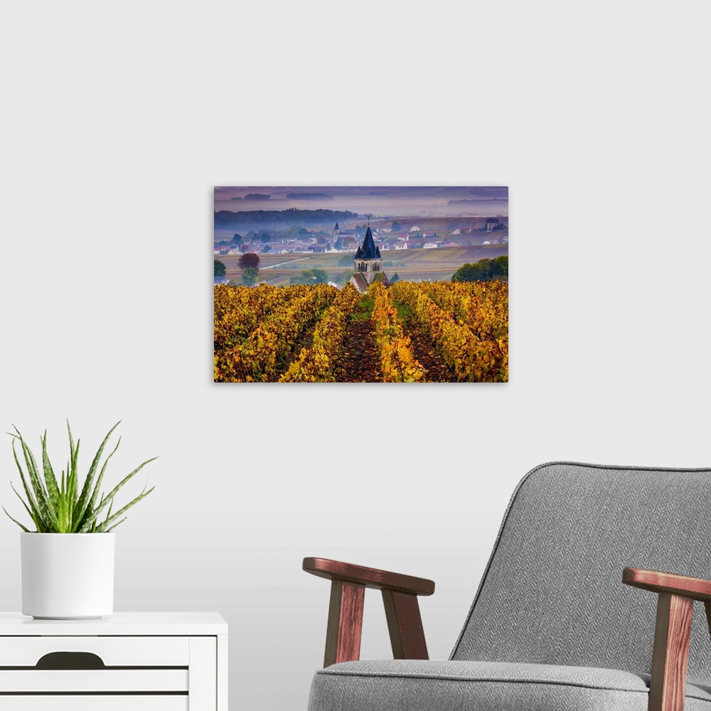A modern room featuring France, Champagne-Ardenne, Champagne, Marne, Ville-Dommange, Vineyards in autumn